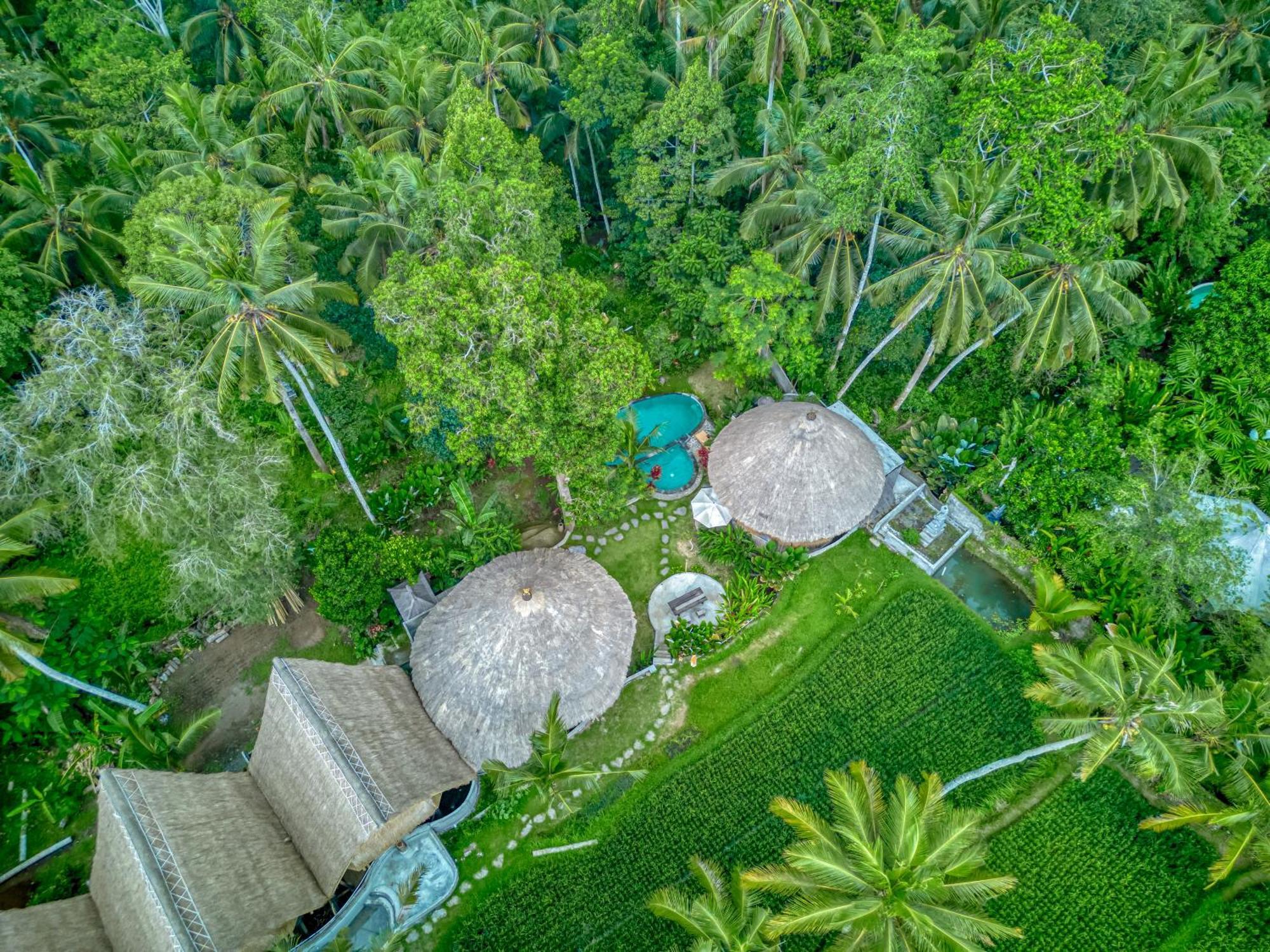Bamboo Cabin Sanctuary By Nusantara Hospitality Убуд Экстерьер фото